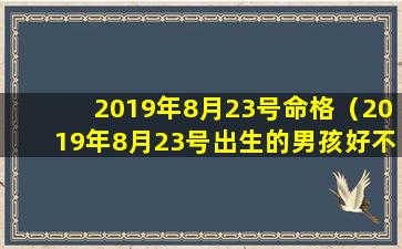 2019年8月23号命格（2019年8月23号出生的男孩好不 🦁 好）